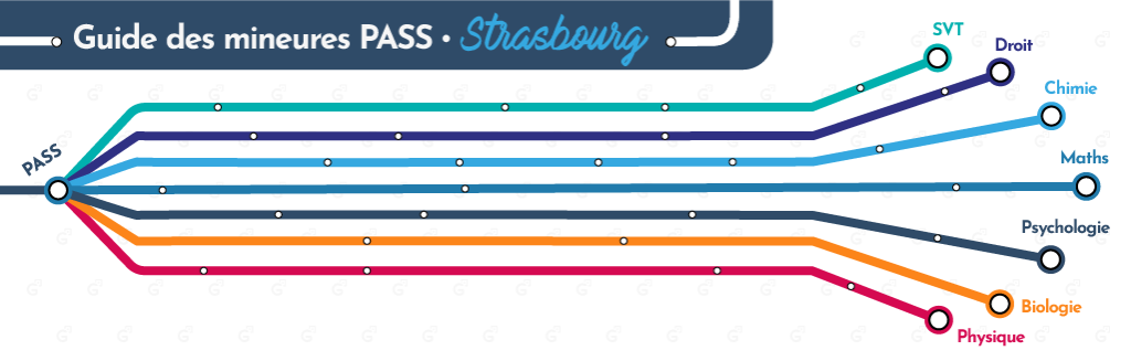 Visuel_Mineures_Plan de travail 1 copie 15