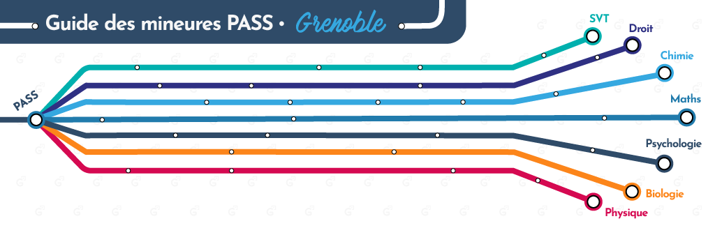 Visuel_Mineures_Plan de travail 1 copie 4