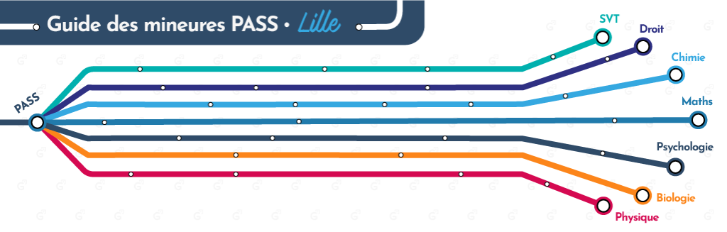 Visuel_Mineures_Plan de travail 1 copie 5